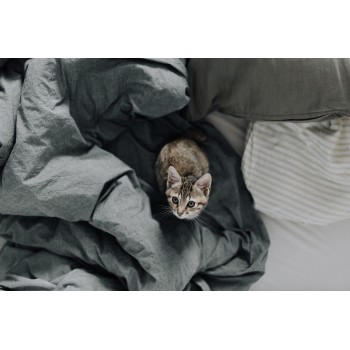 DARK GRAY BED LINEN SET (2 pillowcases, bed sheet, duvet cover) DARK GRAY BED LINEN SET (2 pillowcases, bed sheet, duvet cover)